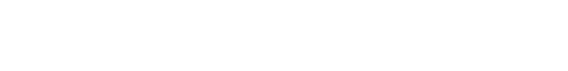 MaidenAssetLogo